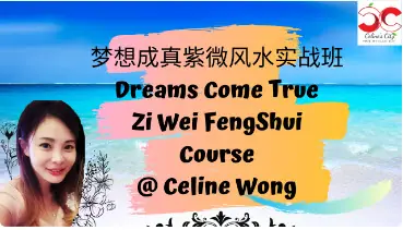 2022 Zi Wei Feng Shui
