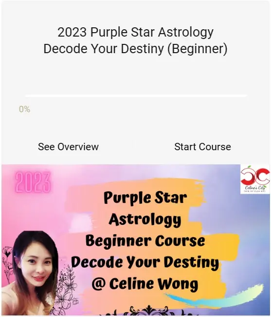ZWDS 2023 Beginner Cover