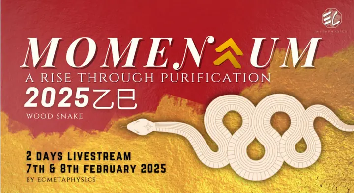 2025 Momentum