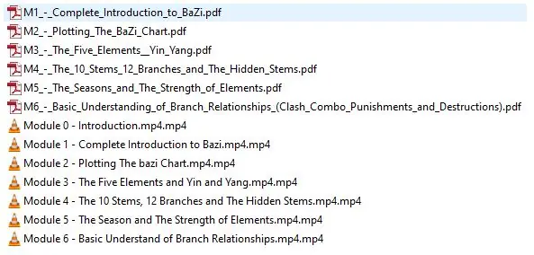 1a_bazi beginner fast track_2020
