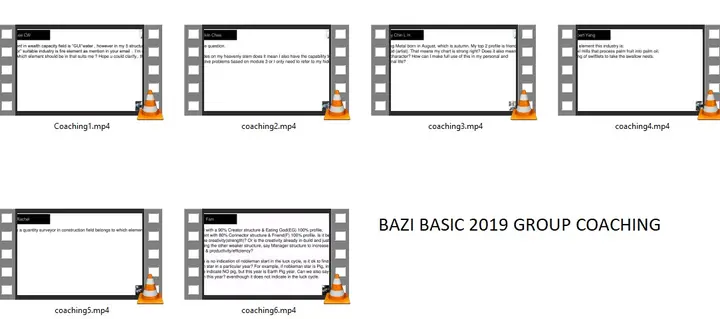v_bazi basic coaching