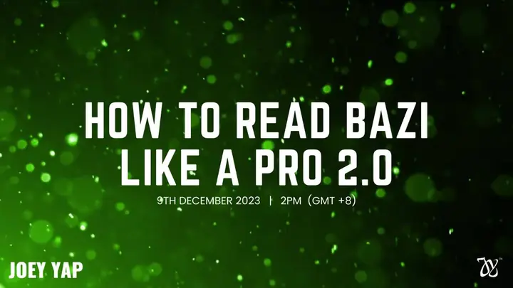 zm_Read Like Pro Bazi2 cover