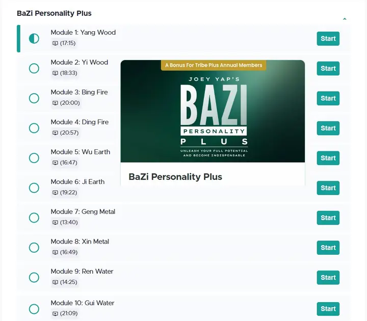 zv_BaZi Personality Plus