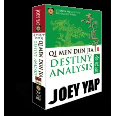 11_Qi Men Dun Jia Destiny Analysis E
