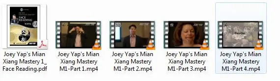 3a_Mian Xiang M1_2016