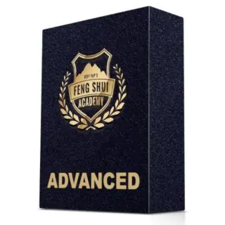 2_FS Advance