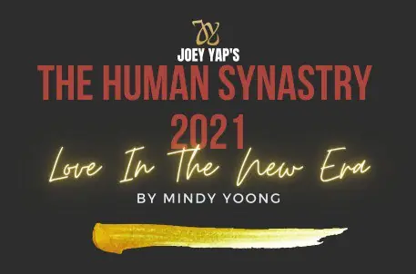 Human Synastry 2021 cover