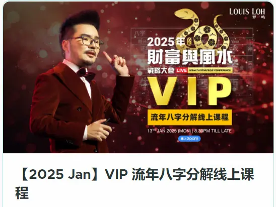2025 Bazi3 Annual Analysis