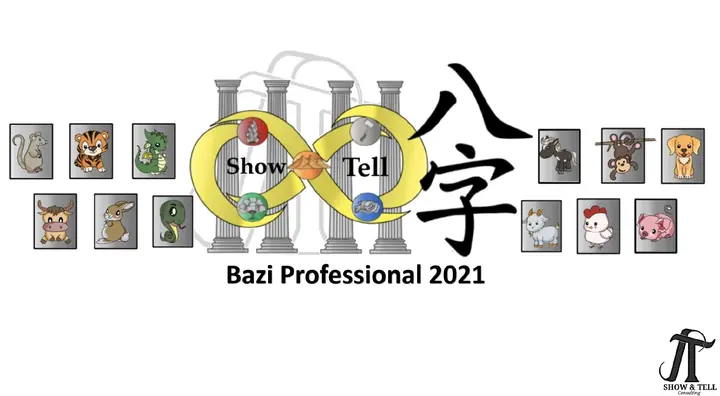 2021 Bazi Professional