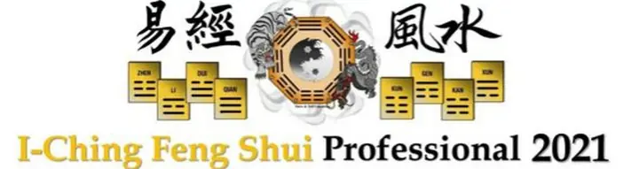 2021 I Ching Feng Shui Professional